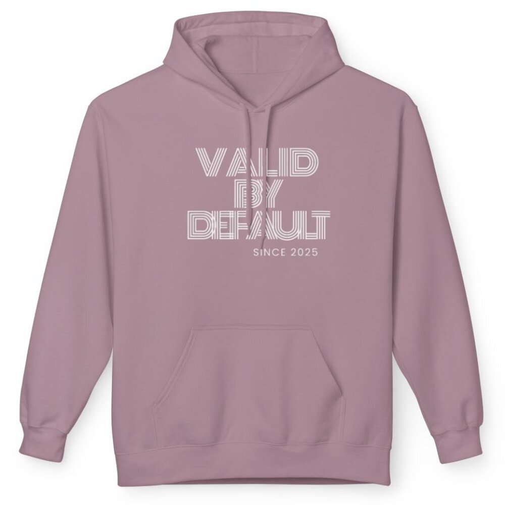 Valid By Default Hoodie (my brand)